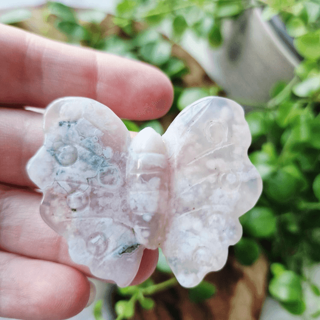 Flower Agate Butterfly 
