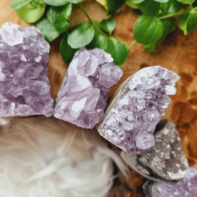 Amethyst Freeforms 