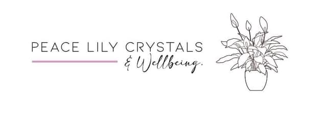 store_logo