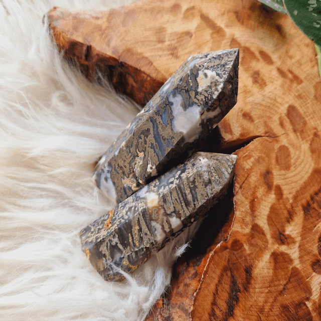 Moss and Pyrite Point 
