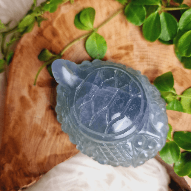 Fluorite Pastel Toned Turtle Carving 