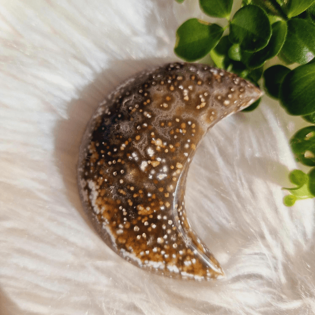 Ocean Jasper Moon