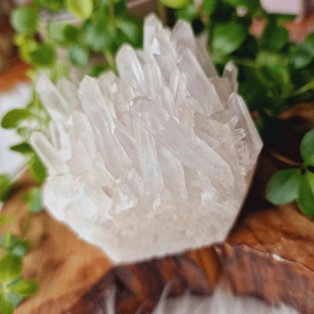 Clear Quartz Cluster 308g