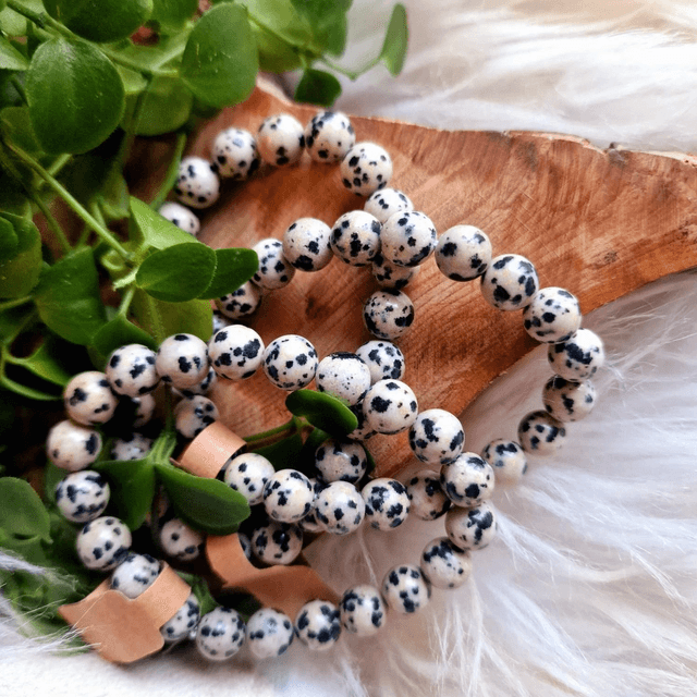 Dalmatian Jasper 8mm Beaded Bracelet 